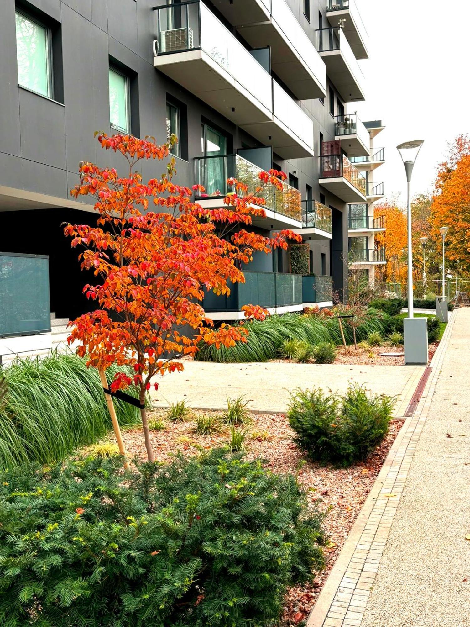 Prime Time Apartament - 24H Check -In - Parking W Cenie Wroclaw Ngoại thất bức ảnh