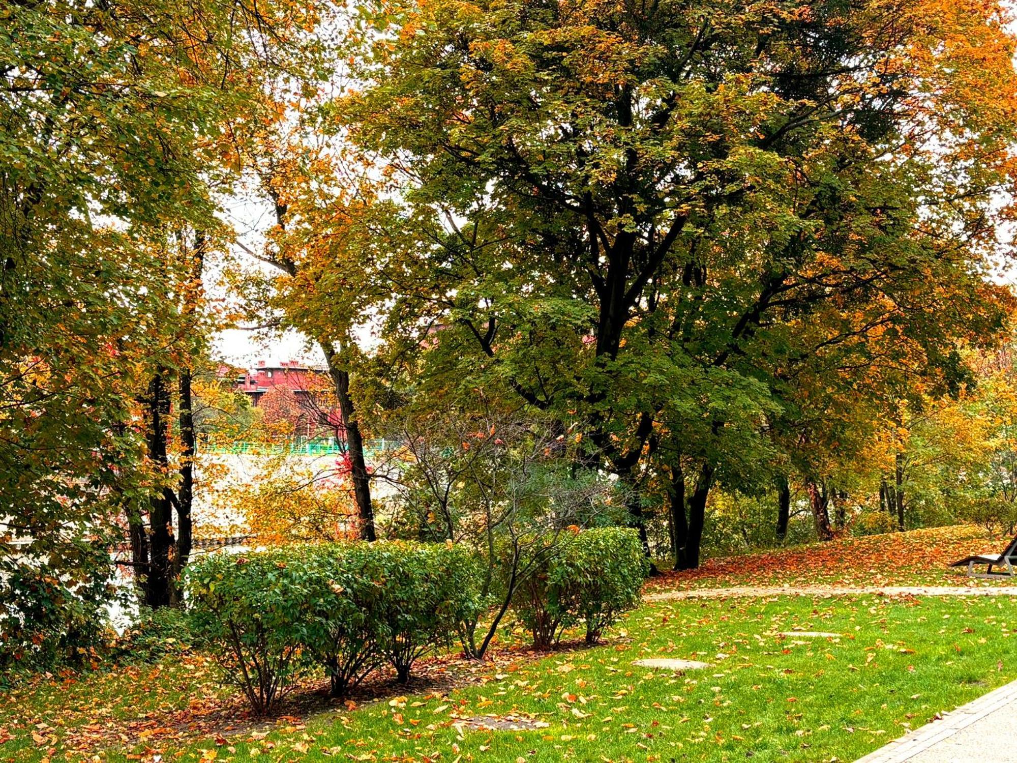 Prime Time Apartament - 24H Check -In - Parking W Cenie Wroclaw Ngoại thất bức ảnh